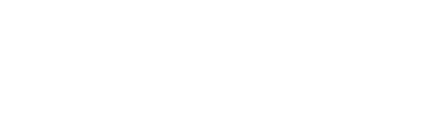 Fever logo